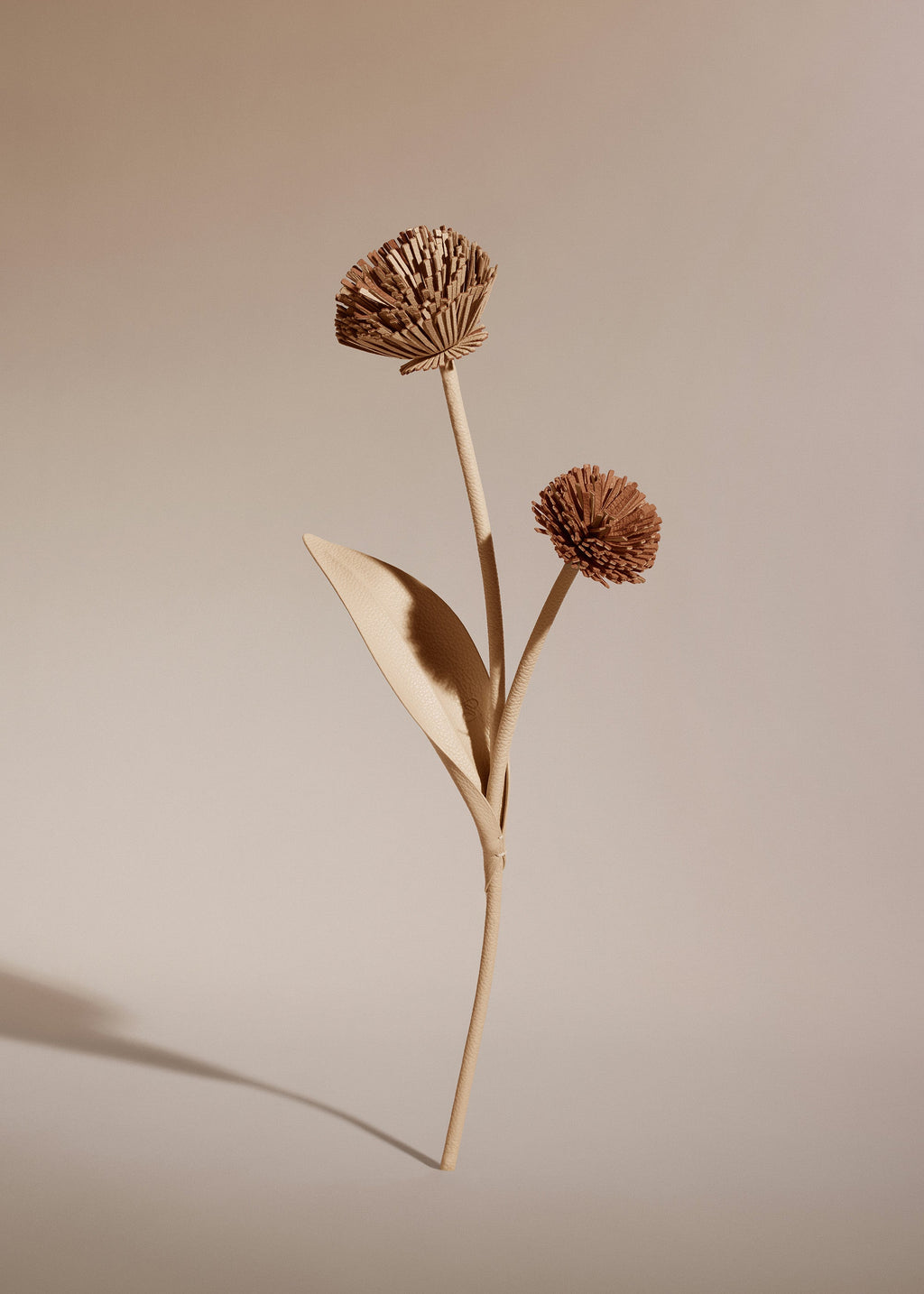 Tul Flower - Duo Beige