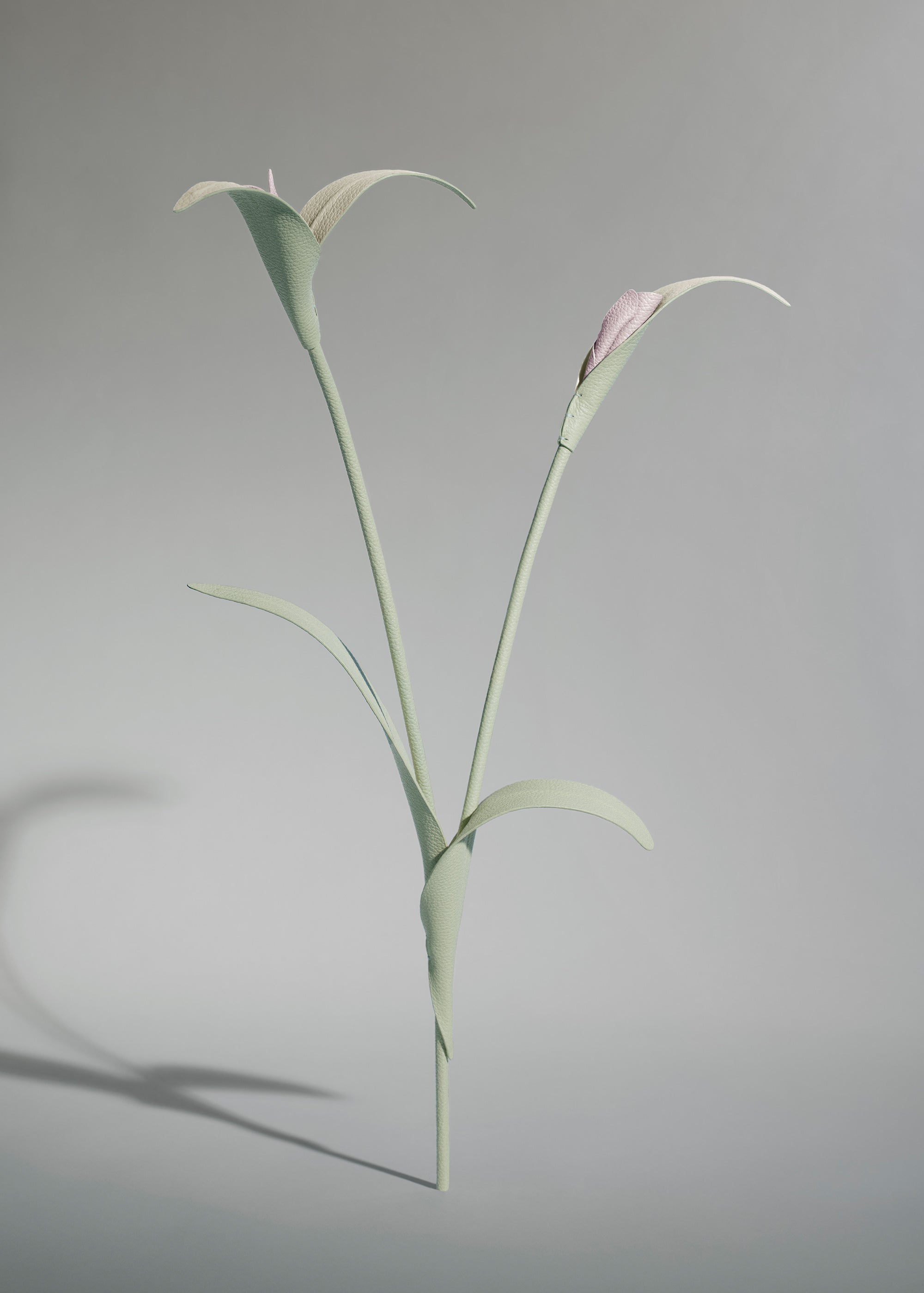 Touka Flower - Trio Fresh Almond