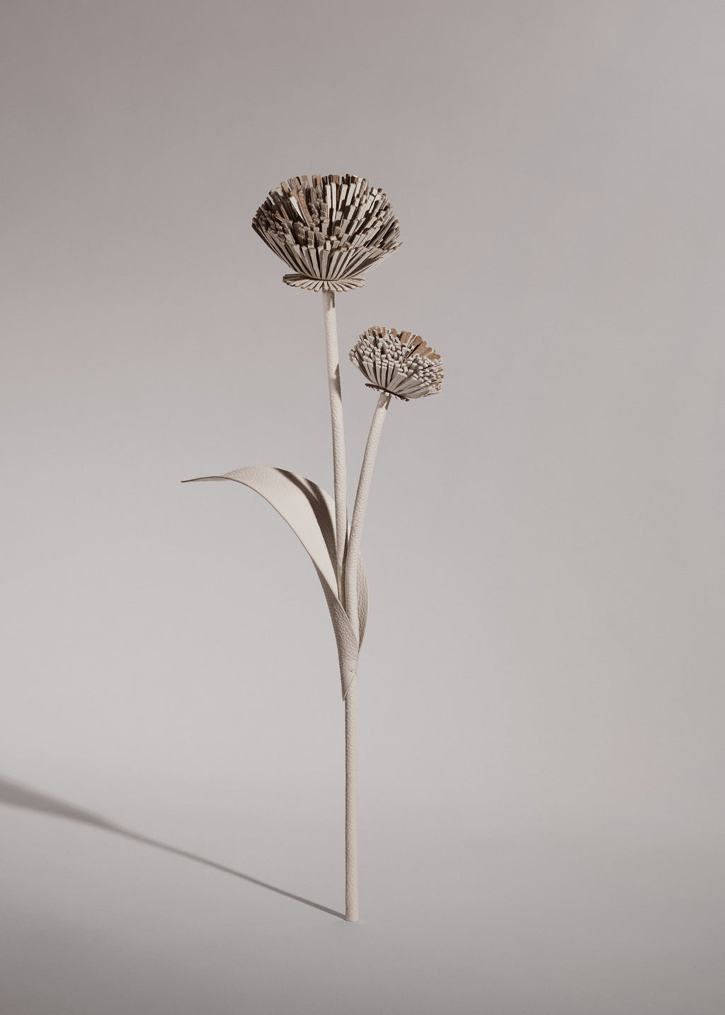 Tul Flower - Duo Chalk