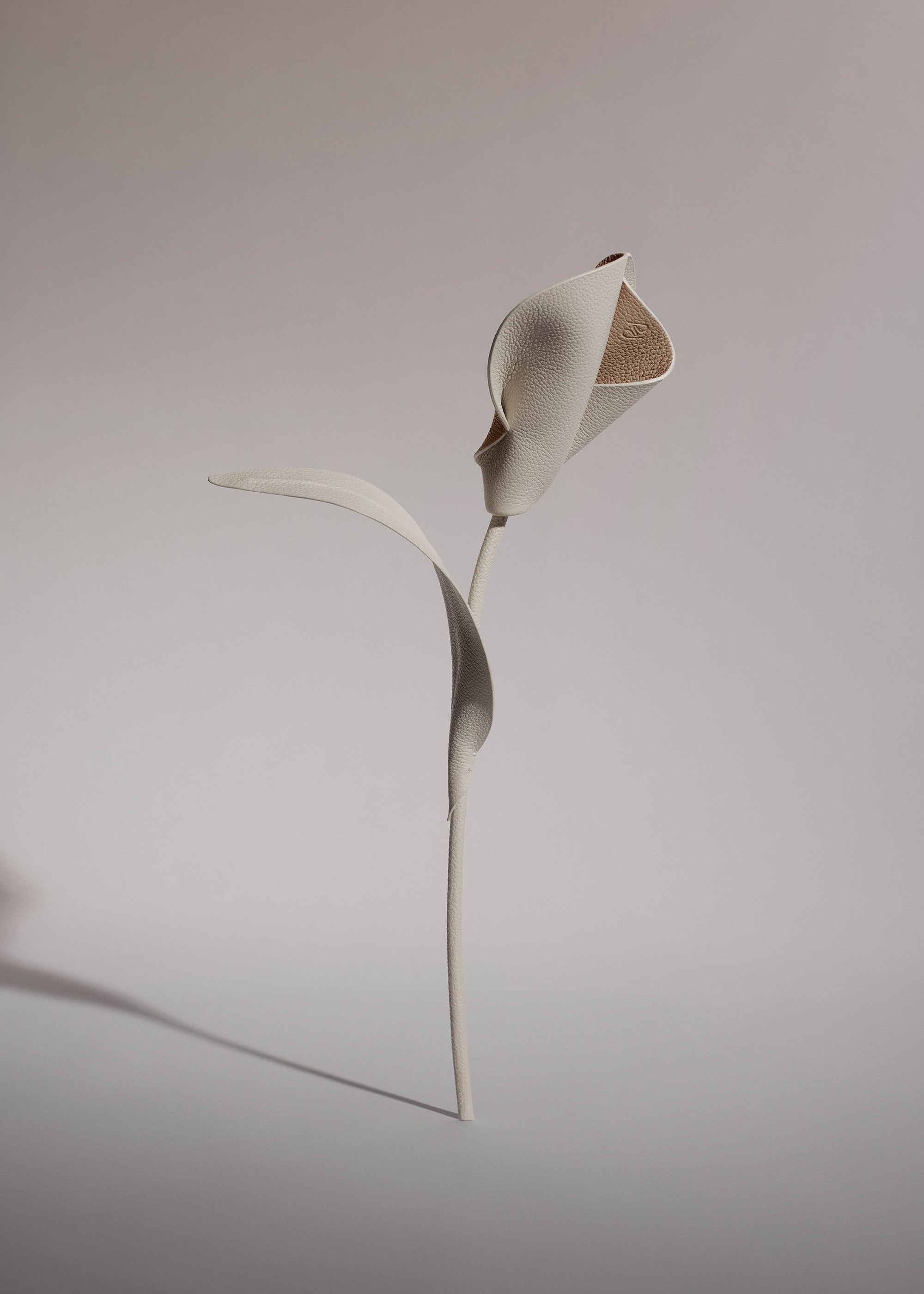 Pili Flower - Duo Chalk