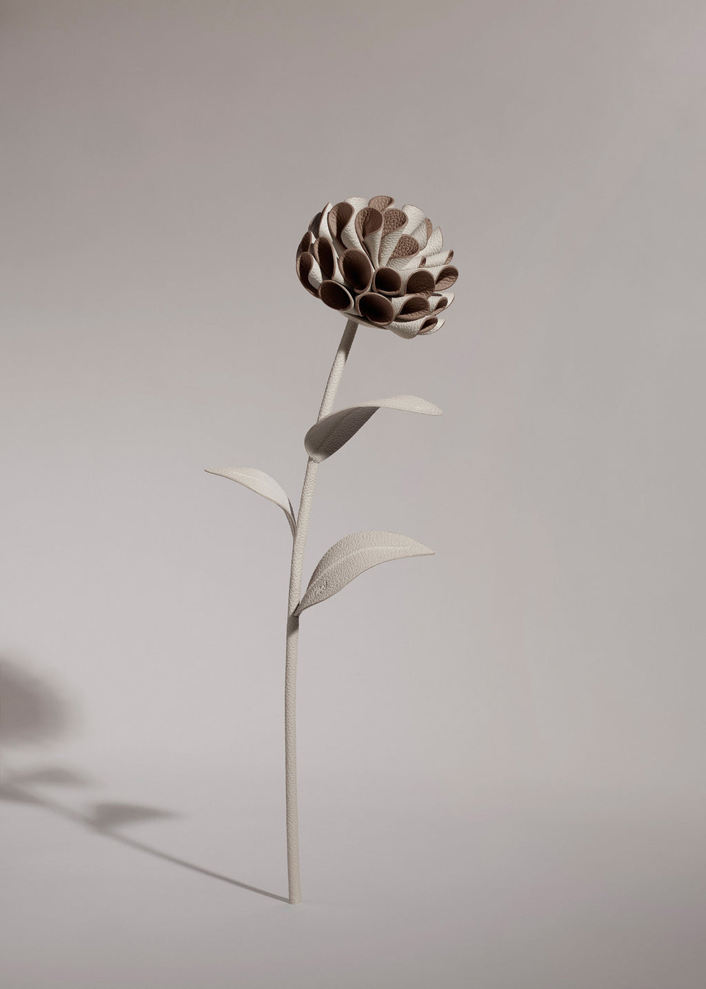 Dalium Flower - Duo Chalk