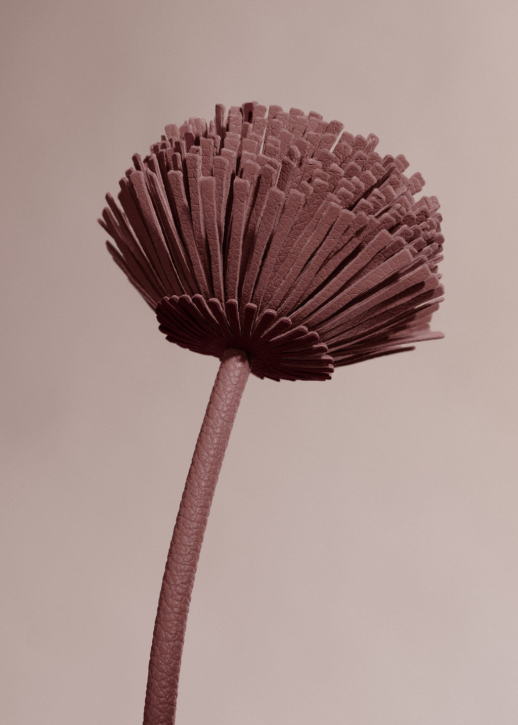 Tul Flower - Duo Lilac