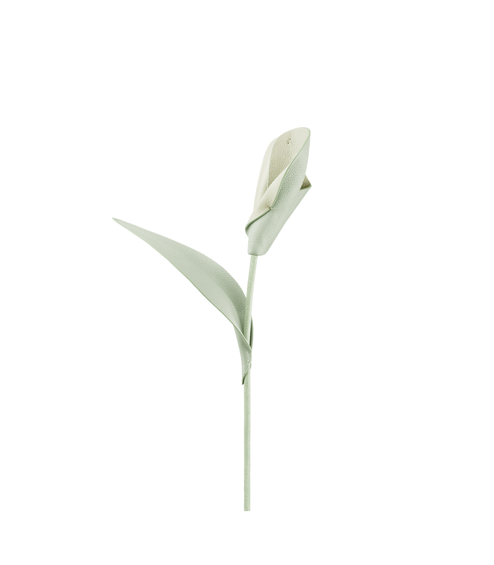 Pili Flower - Duo Fresh Almond