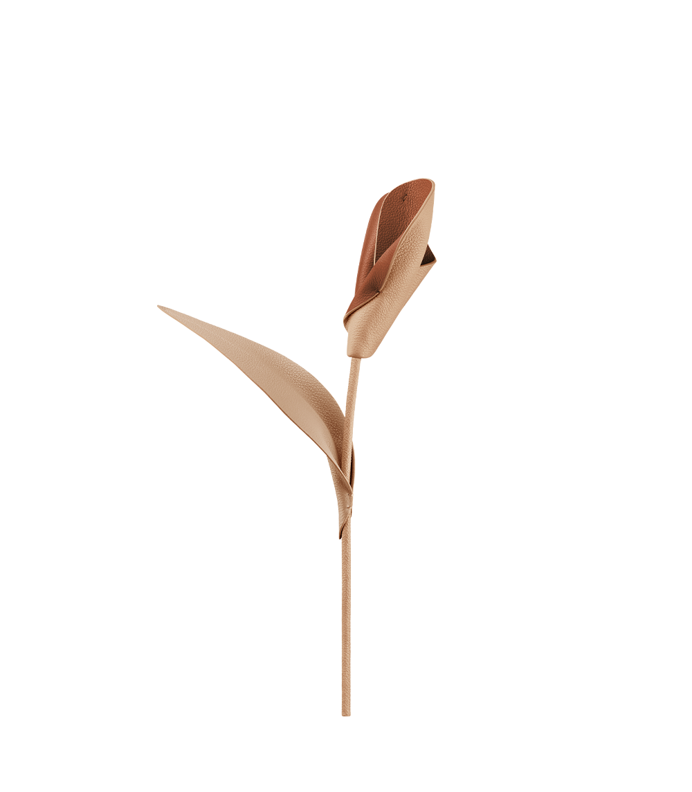 Pili Flower - Duo Beige