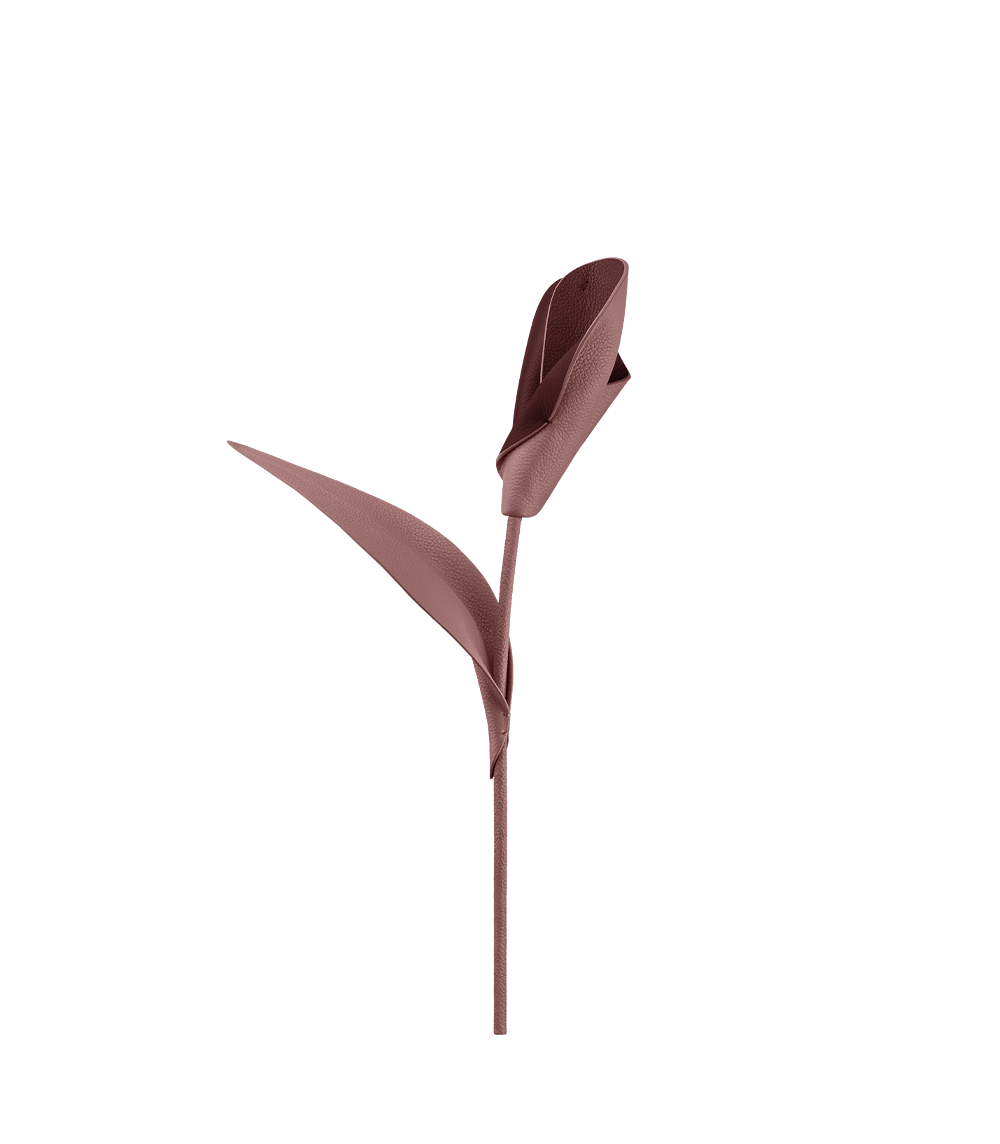 Pili Flower - Duo Lilac